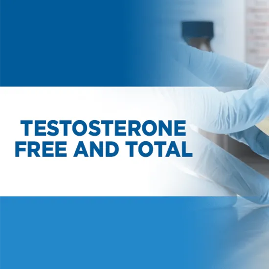 testosterone free and total
